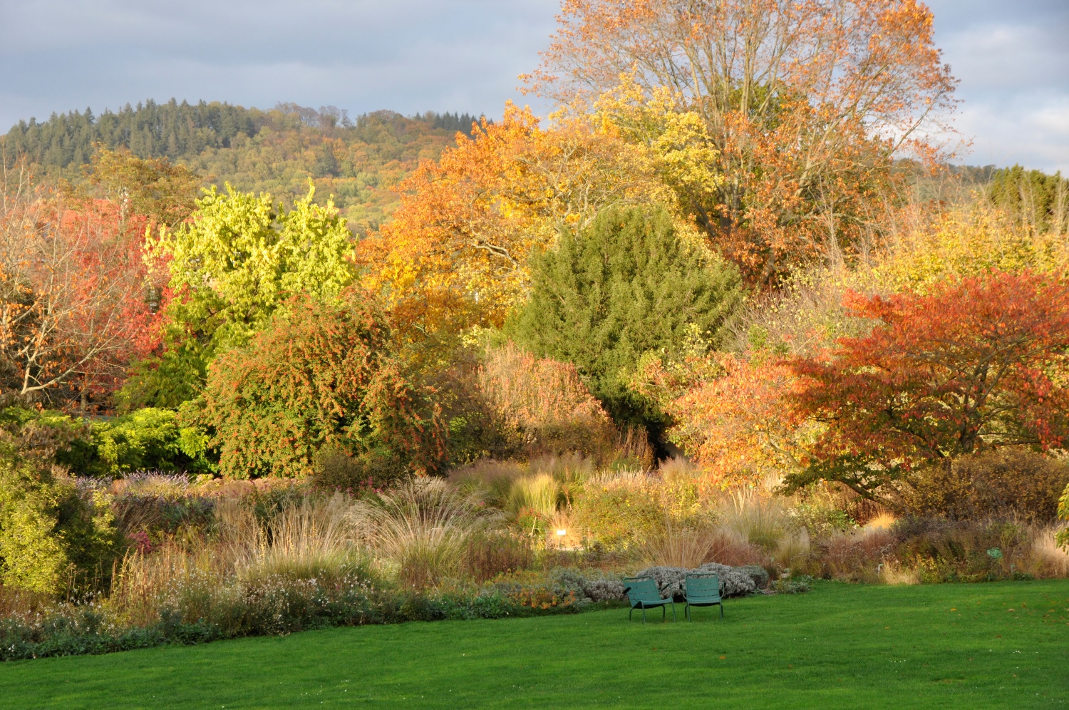 Lebensbereich trockene Freifläche und Steppe