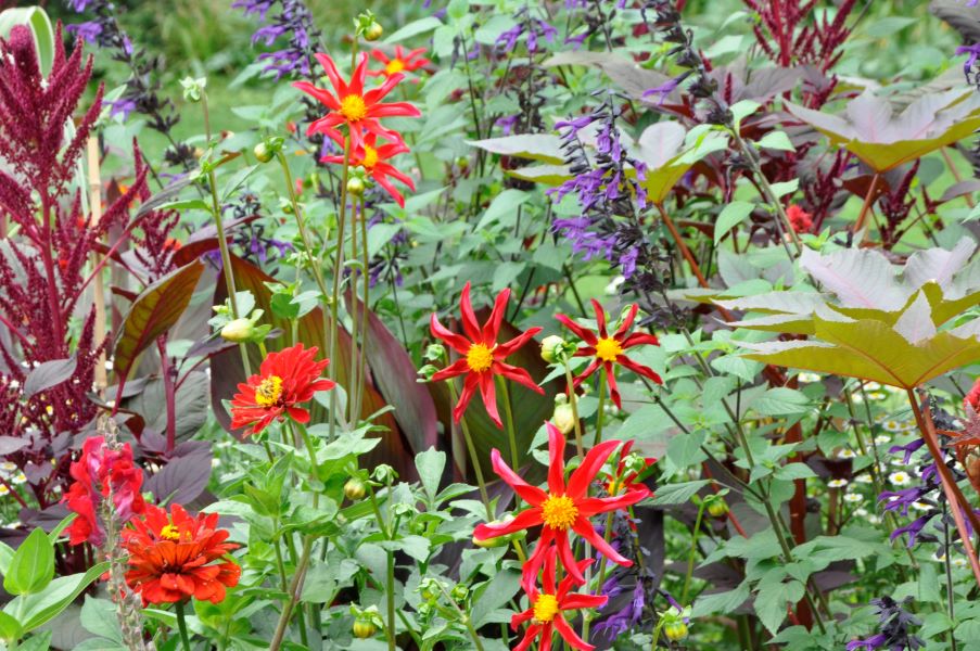 Gestalten mit Sommerflor