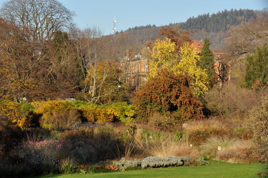 Ästhetik des Vergehenden