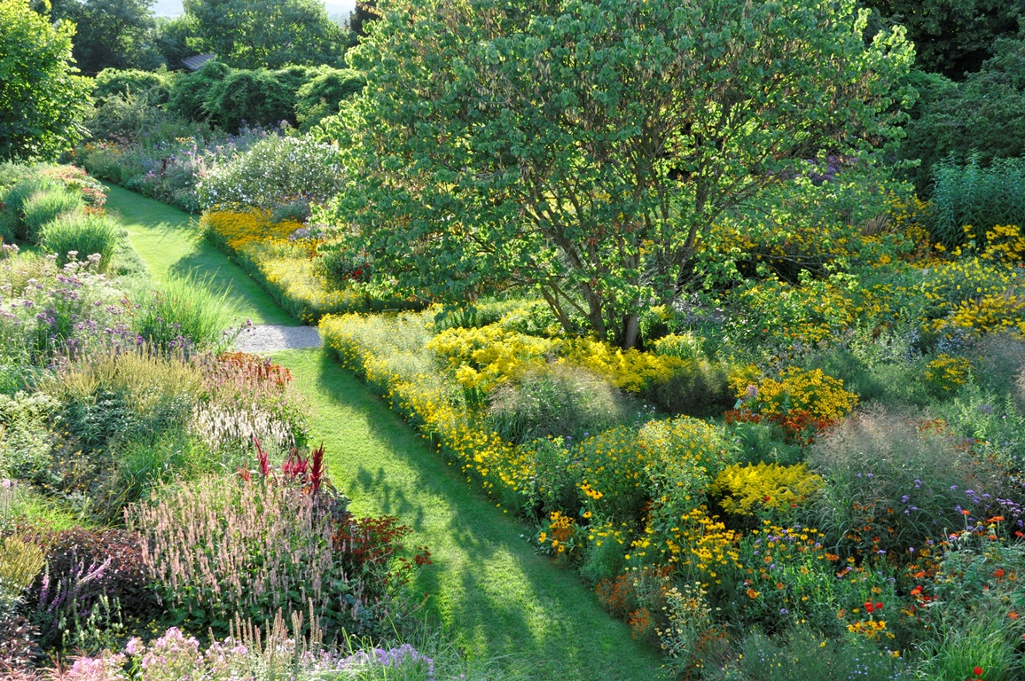 Hochsommerblüher: Nordamerikanische Beetstauden