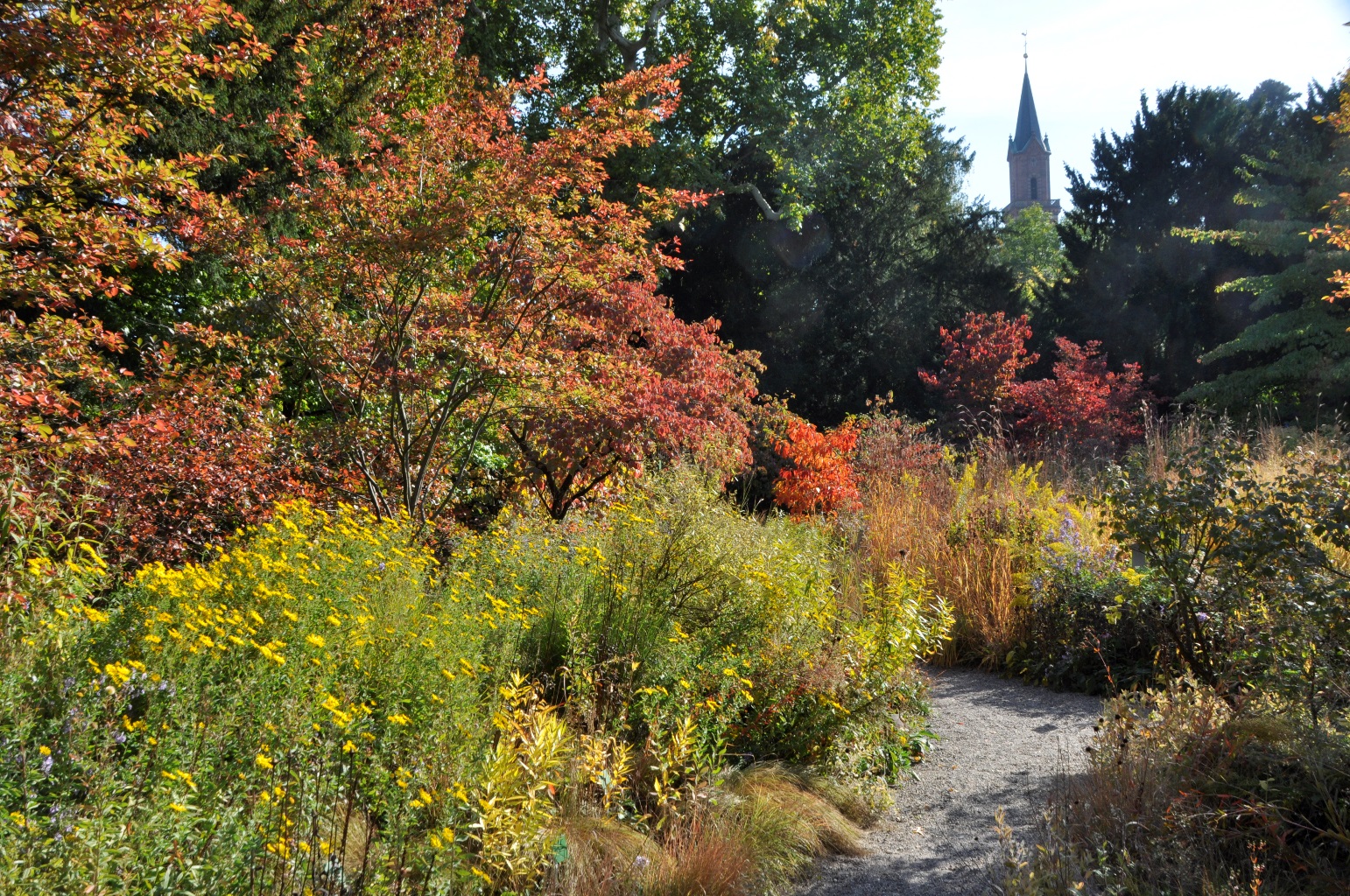 Indian Summer in der Hermannshof-Prärie